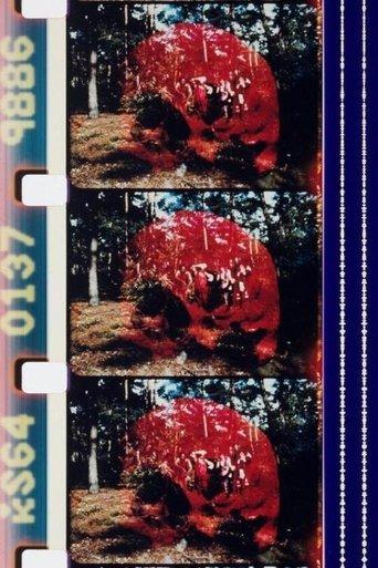 Sun Love film afişi