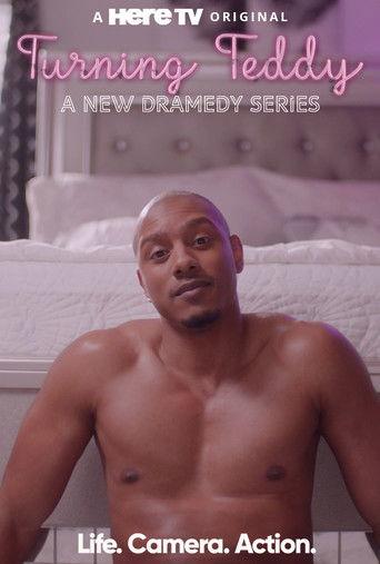 Turning Teddy dizi afişi