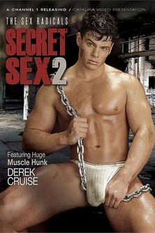 Secret Sex 2: The Sex Radicals film afişi