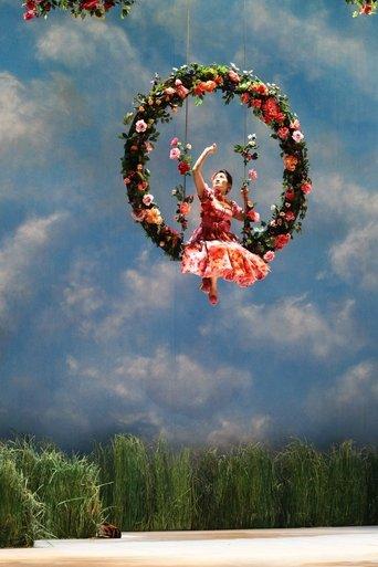 Donizetti: Don Pasquale film afişi