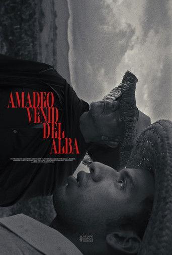 Amadeo Venid del Alba film afişi