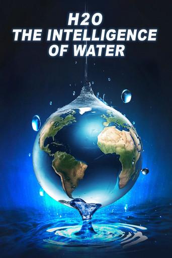 H2O: The Intelligence of Water film afişi