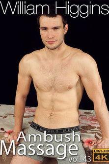 Ambush Massage 43 film afişi