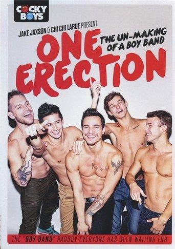 One Erection film afişi