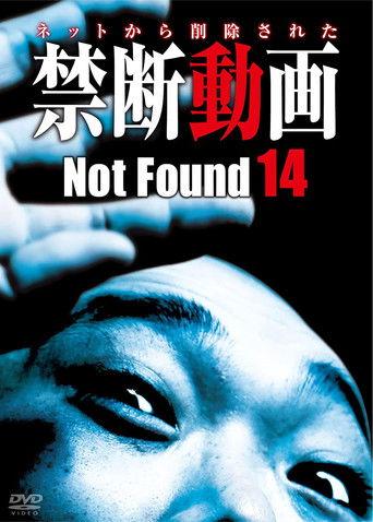 Not Found 14 film afişi