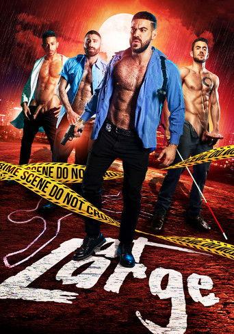 At Large film afişi