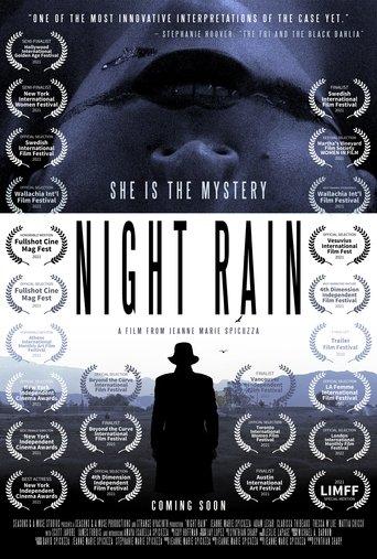 Night Rain film afişi