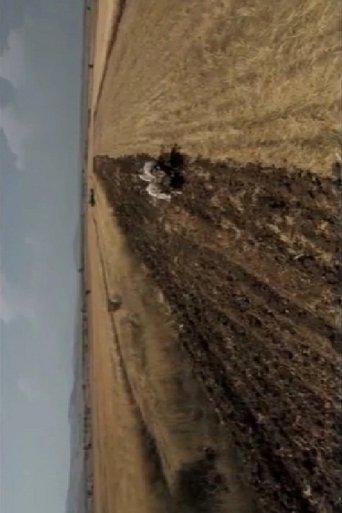 Years of Solitude film afişi