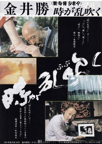 The Stormy Times film afişi