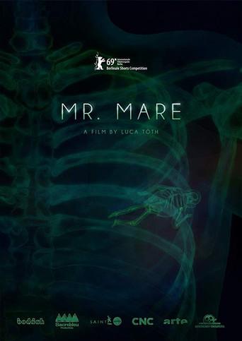 Mr. Mare film afişi