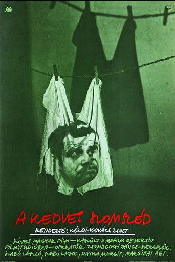 A Nice Neighbor film afişi