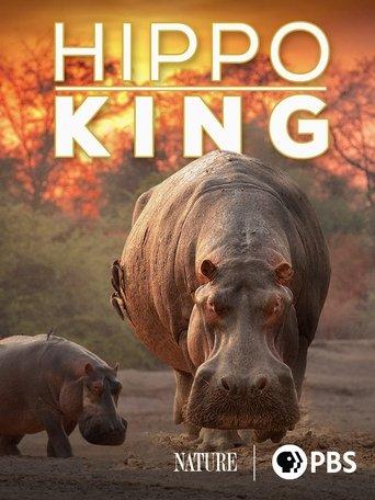 Hippo King film afişi