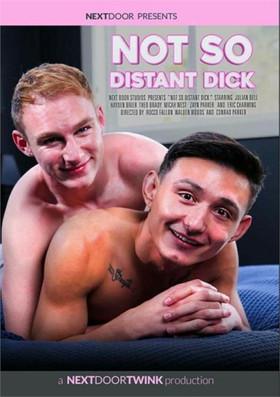 Not So Distant Dick film afişi