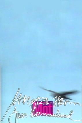 Möt Maritza Horn & Jan Hammarlund film afişi