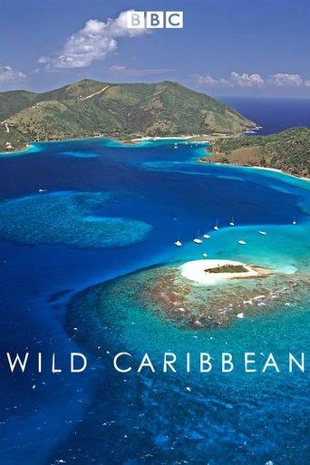 Wild Caribbean dizi afişi