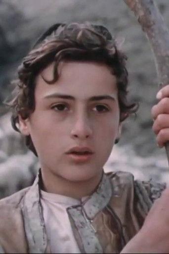 Ivanika and Simonika film afişi