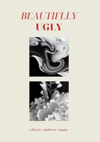 Beautifully Ugly film afişi