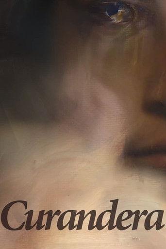 The Healer film afişi