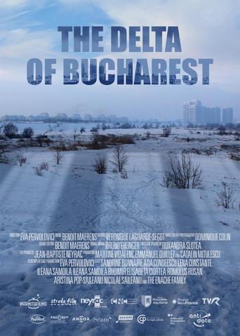 The Delta of Bucharest film afişi