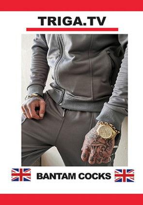 Bantam Cocks film afişi