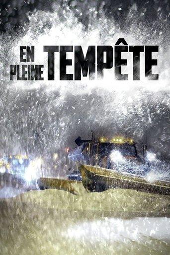 En pleine tempête dizi afişi