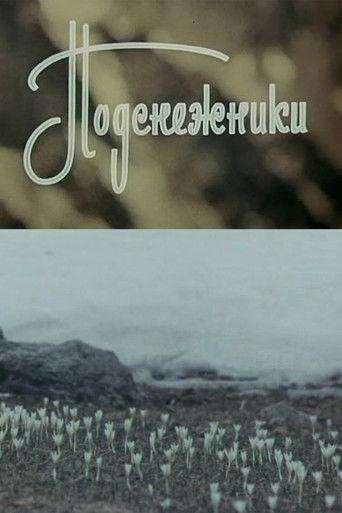 Snowdrops film afişi