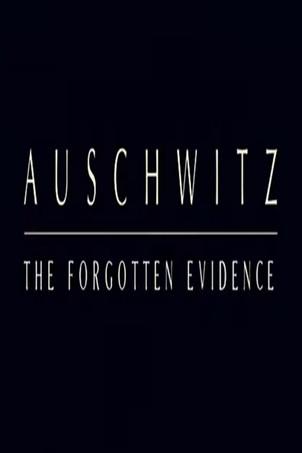 Auschwitz: The Forgotten Evidence film afişi