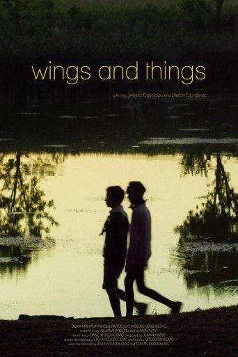 Wings and Things film afişi
