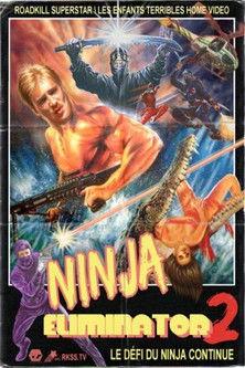Ninja Eliminator 2: Quest of the Magic Ninja Crystal film afişi