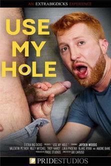 Use My Hole film afişi