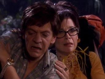 Les tragiques retrouvailles de Brett et Criquette