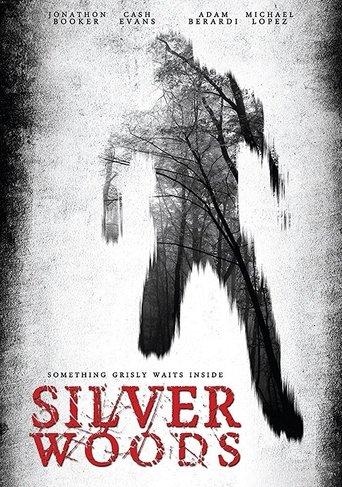Silver Woods film afişi