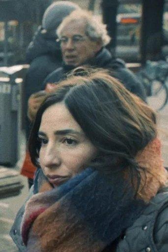 Bridge over the fault line film afişi