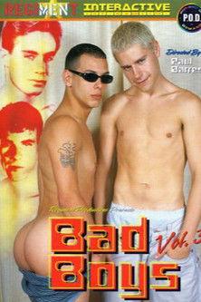 Bad Boys 3 film afişi