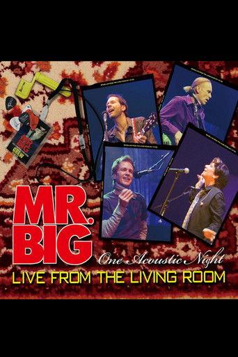 Mr. Big Live From The Living Room film afişi