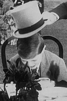 Scenes at his Excellency the Viceroys's Garden Party at Belvedere film afişi