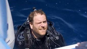 Revealing the Triangle