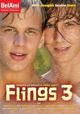 Flings 3 film afişi