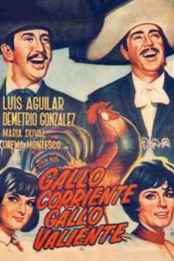 Gallo corriente, gallo valiente film afişi
