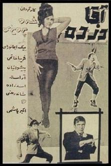 Mr. Thief film afişi