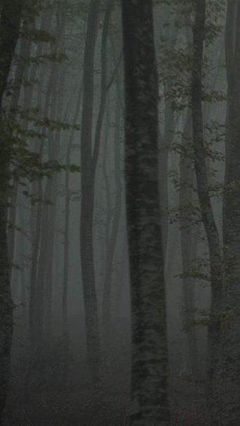 Refuge II: The Ice Path film afişi