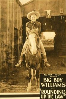 Rounding Up the Law film afişi