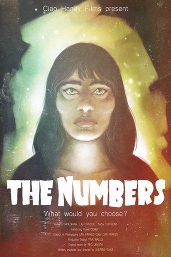 The Numbers film afişi