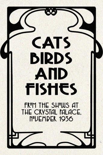 Cats, Birds and Fishes film afişi