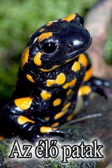 One in a Thousand film afişi