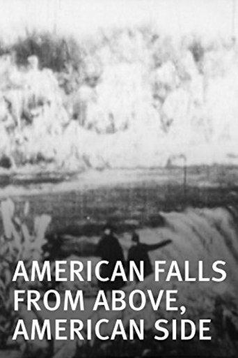 American Falls from Above, American Side film afişi