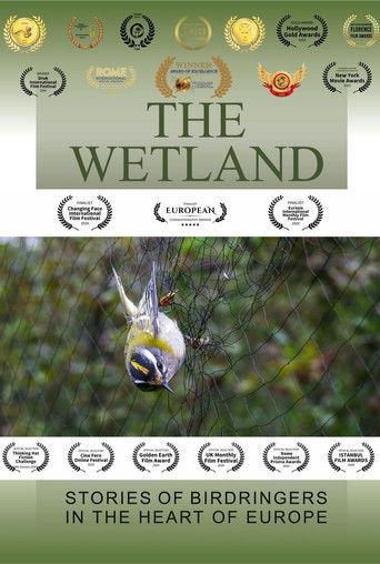 The Wetland film afişi