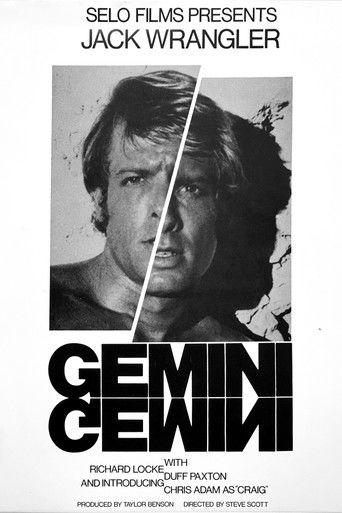Gemini film afişi