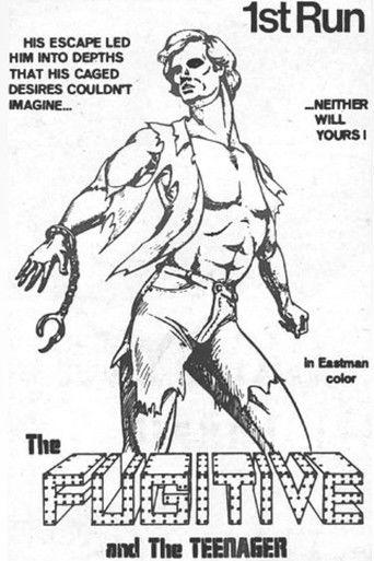 The Fugitive and the Teenager film afişi