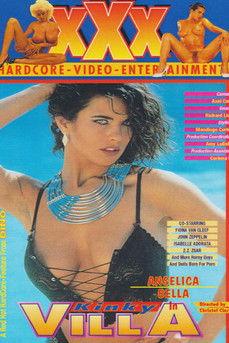 Kinky Villa film afişi